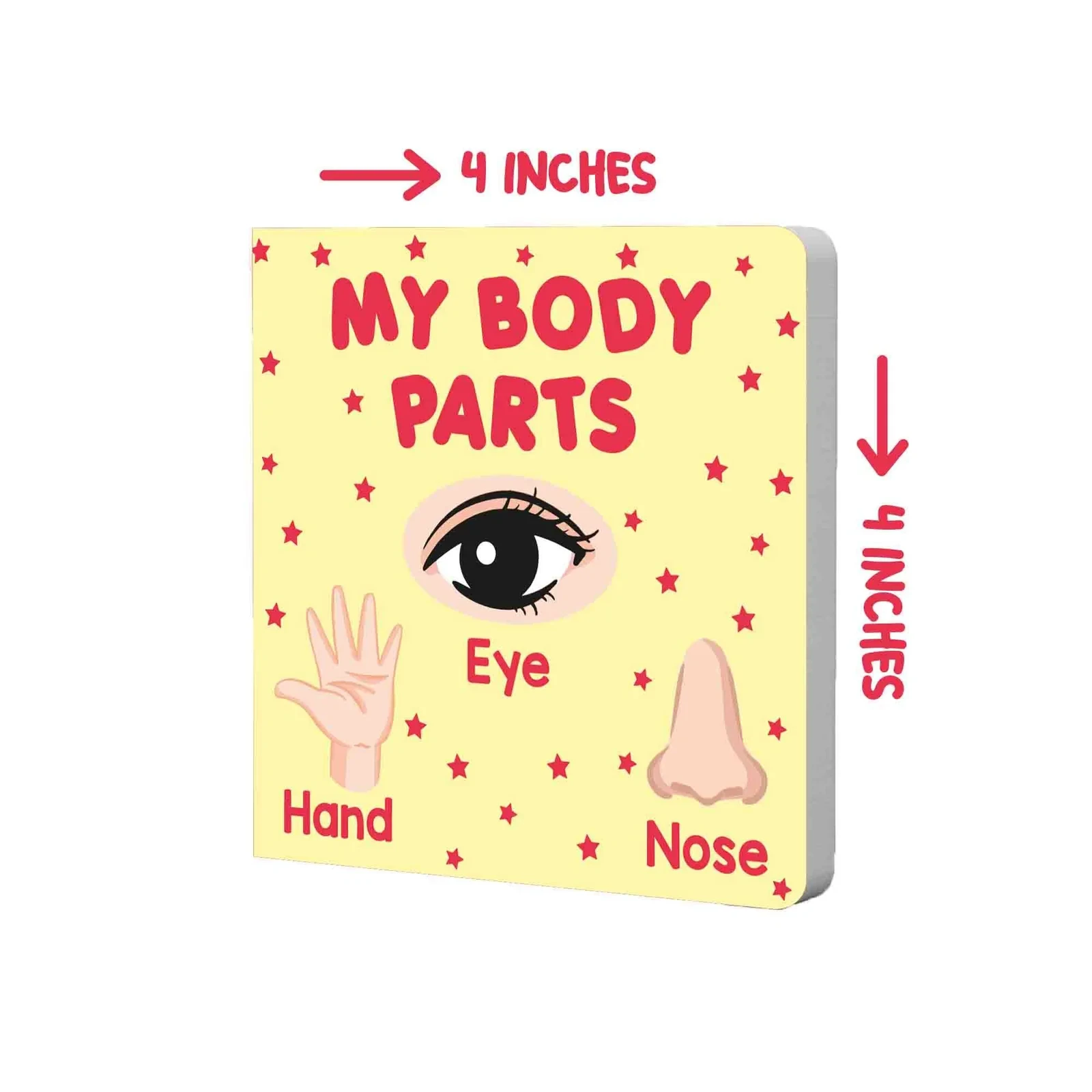 PARAMOUNT LITTLE HAND’S BOARD BOOK MY BODY PARTS