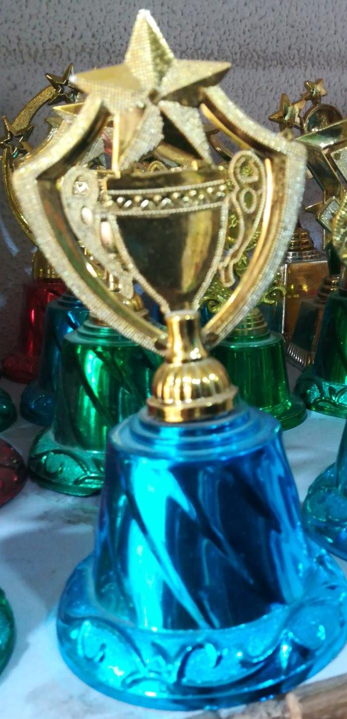 Small Trophy Cup 016