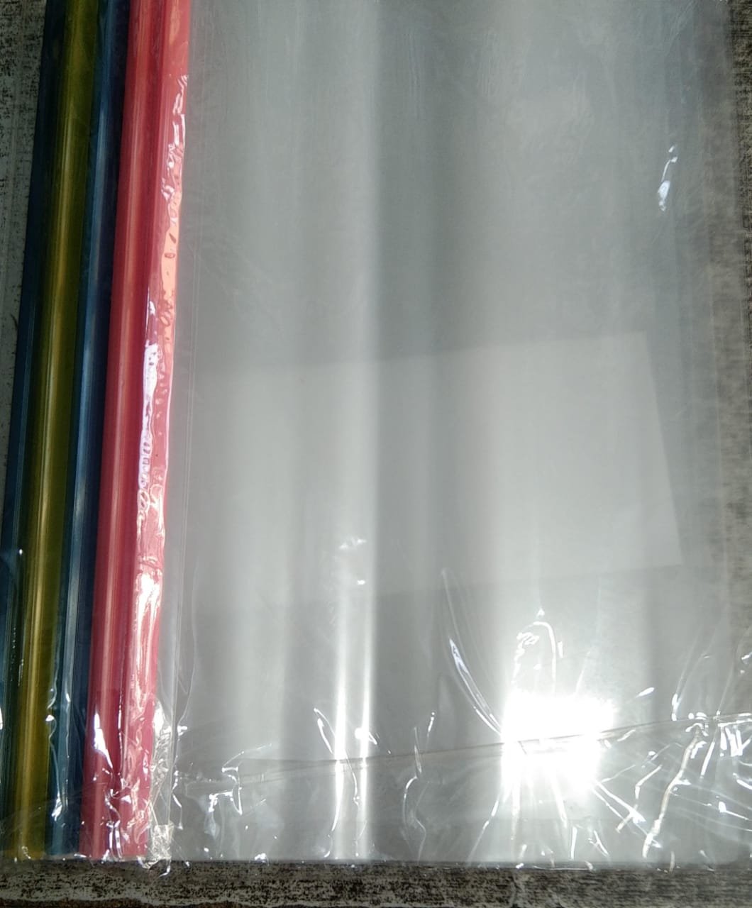 Baar Plastic File