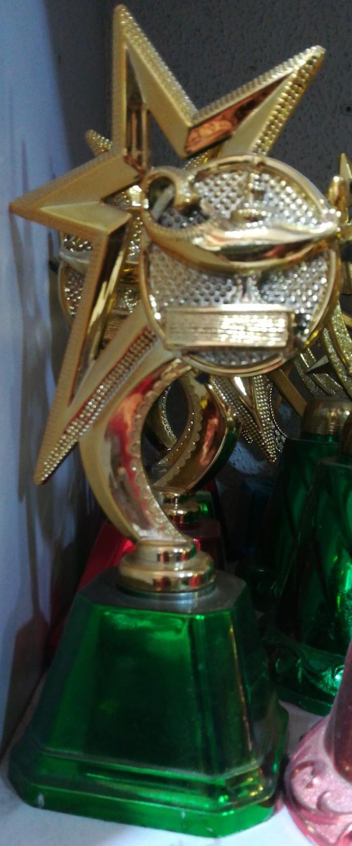 Small Trophy Cup 008