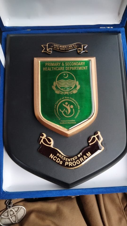 Pentagon Wooden & Metalic Award Sheild