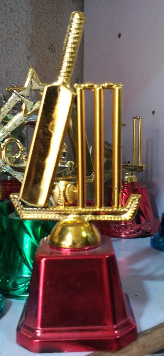Small Trophy Cup 013
